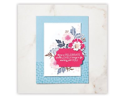 Everything is Rosy Product Medley Limited Edition kit for creating homemade cards, scrapbooking, etc.