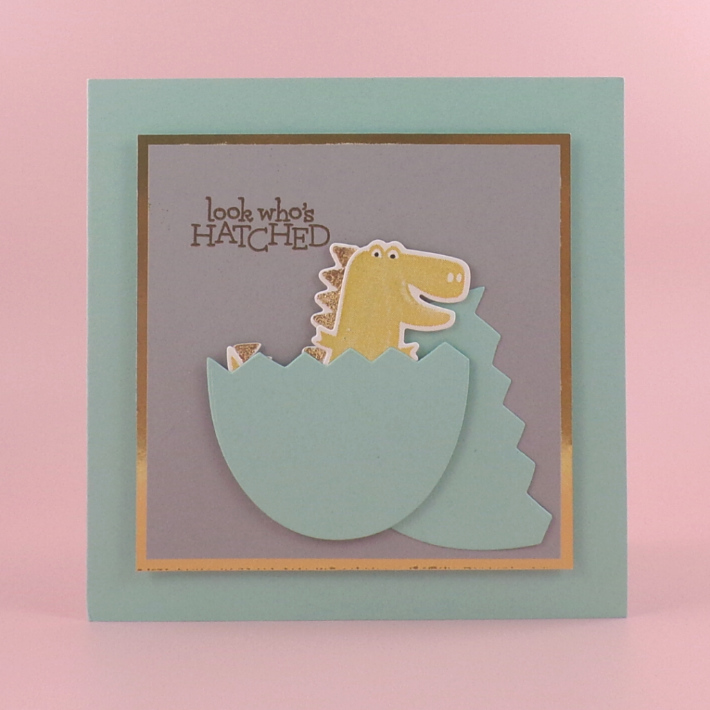 Dinosaur Baby Card