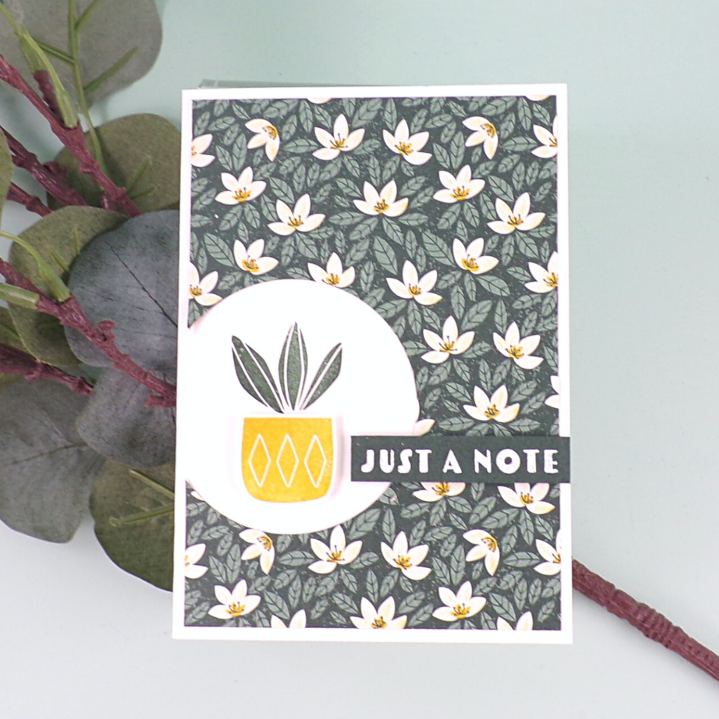 How to Create a Handmade Greetings Card with Cactus Cuties from Stampin Up