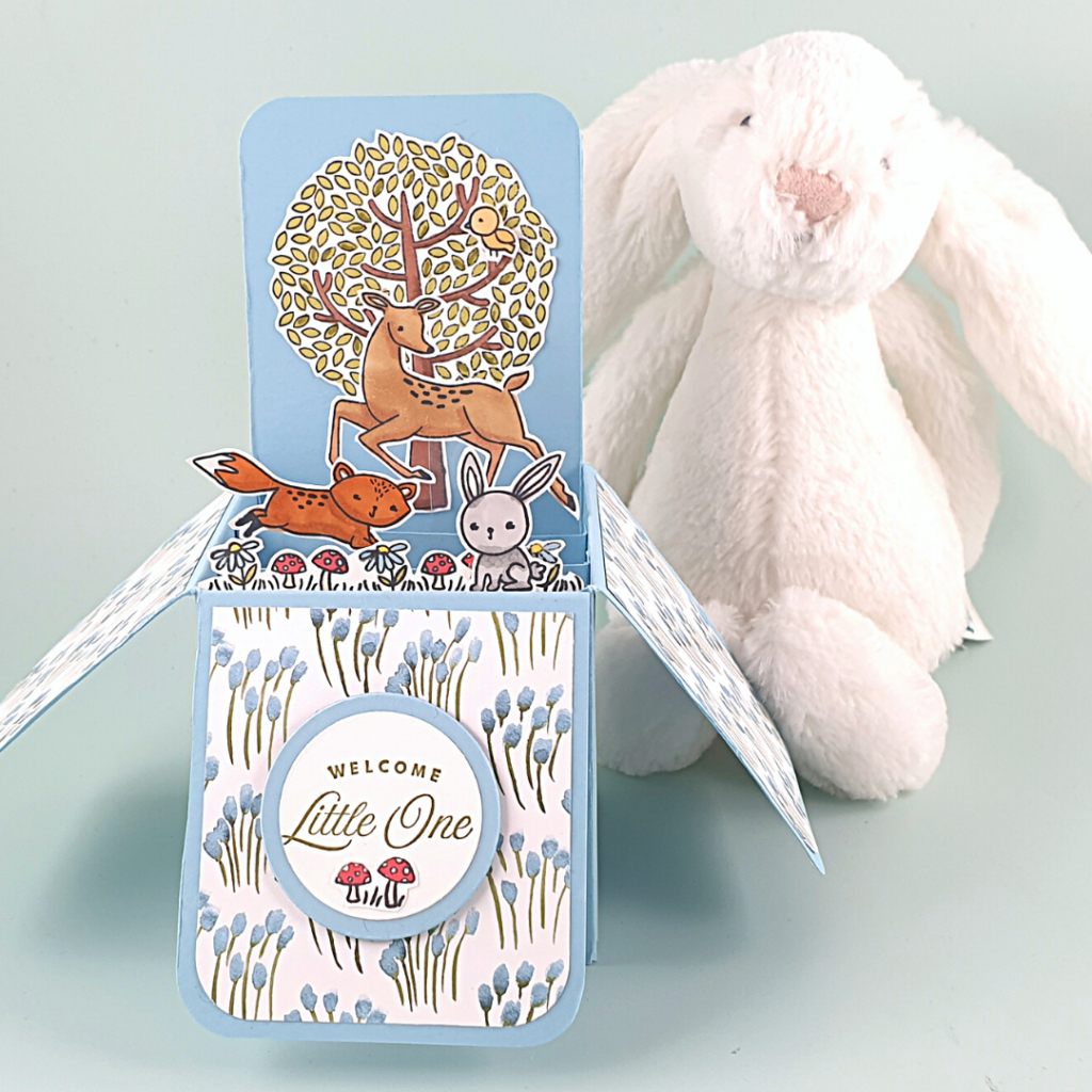 New Baby Pop-Up Box Card with Friends of the Forest