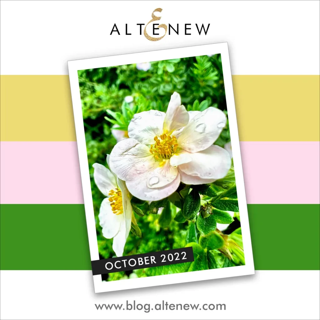 Altenew Inspiration Challenge