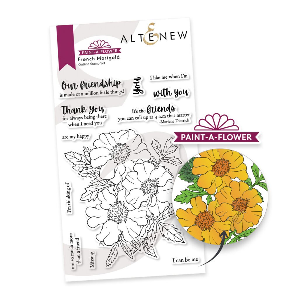 Paint-A-Flower French Marigold Outline Stamp Set