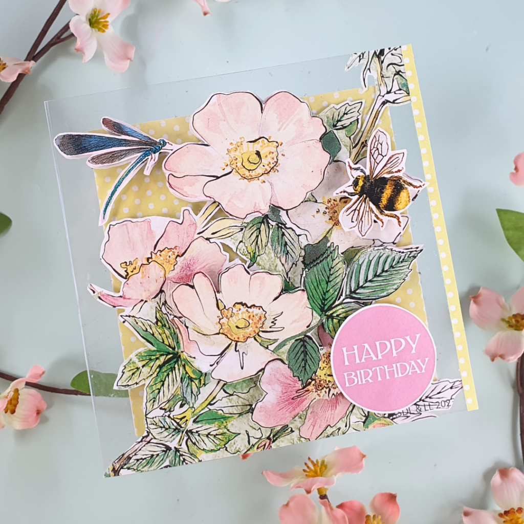Stunning Acetate Card created with the latest Creative Essentials Magazine Box Kit