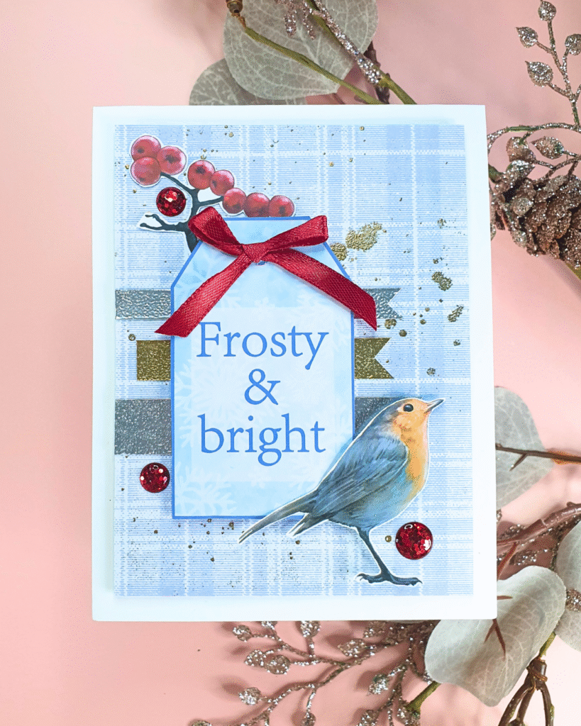 Handmade Christmas Card created with the Two Red Robins Magazine Box Kit 4