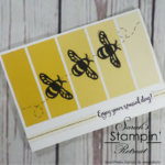 Detailed Dragonfly Bumblebee Birthday Card