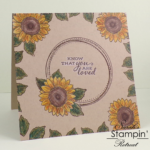 One-Layer Card with Celebrate Sunflowers