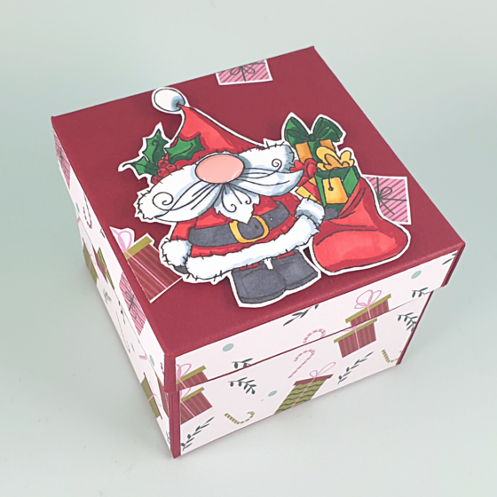 Cute Christmas Gift Box with Polkadoodles Gnomes