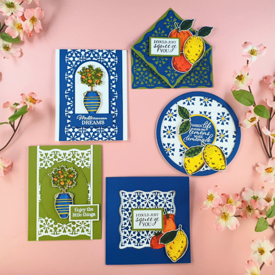 Handmade Card showing Die-Cutting Techniques using the latest Magazine Box Kit from Crafter's Companion