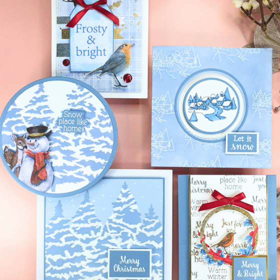 Handmade Christmas Card created with the Two Red Robins Magazine Box Kit 4